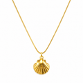 The shell necklace