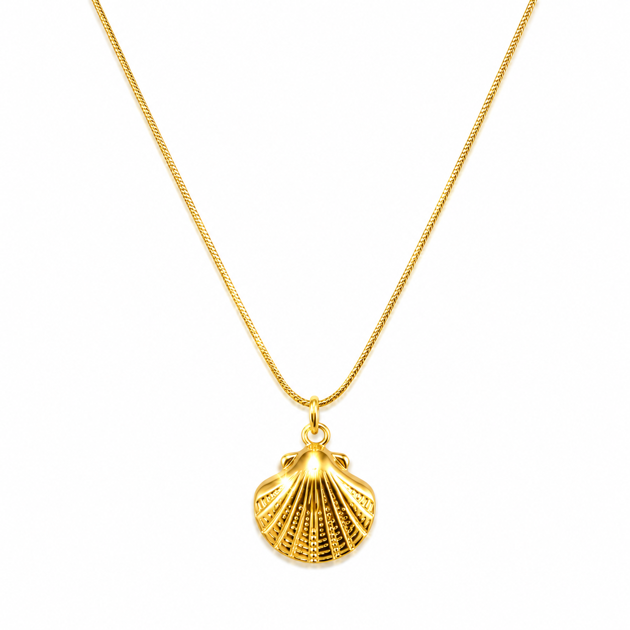 The shell necklace