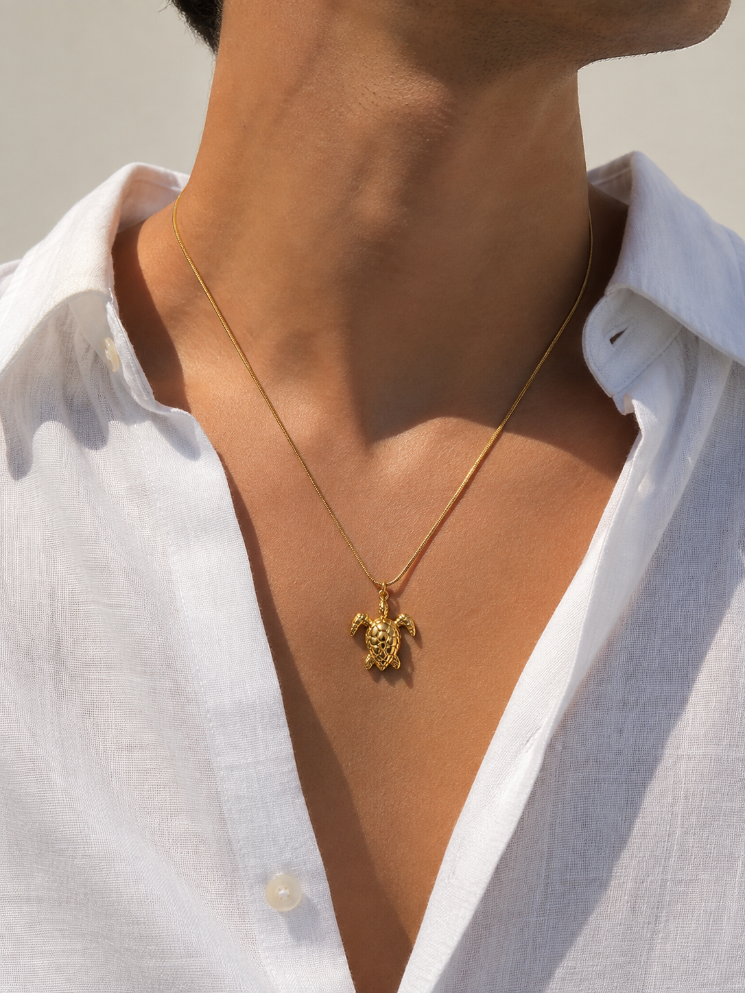 The turtle necklace