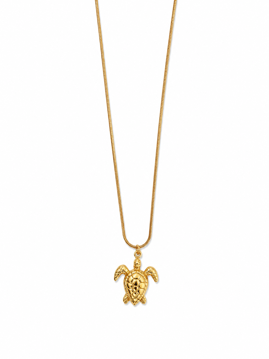 The turtle necklace