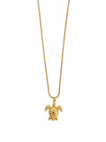 The turtle necklace