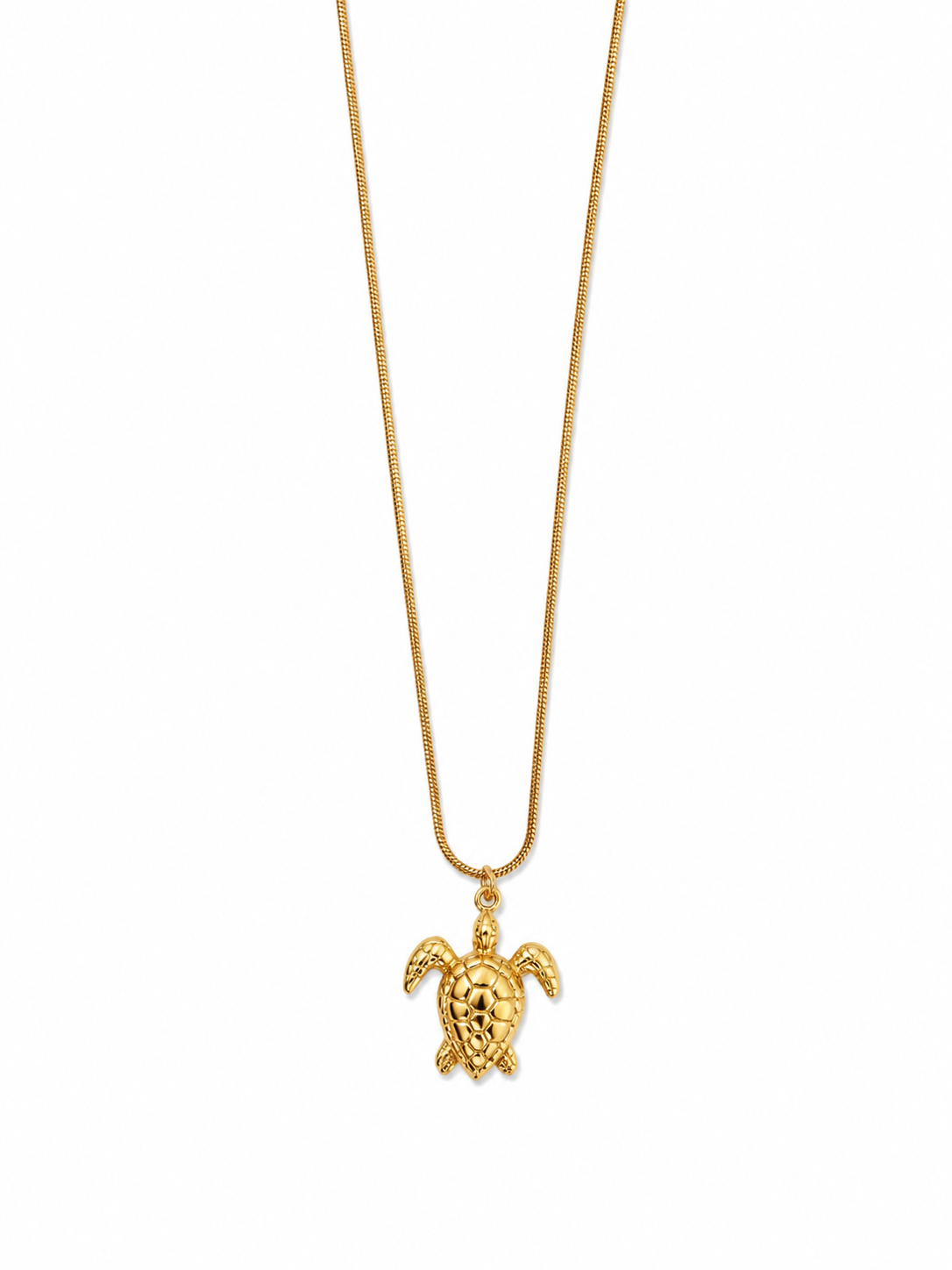 The turtle necklace